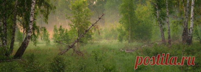 35PHOTO - marateaman - Утро с тонким ароматом весны