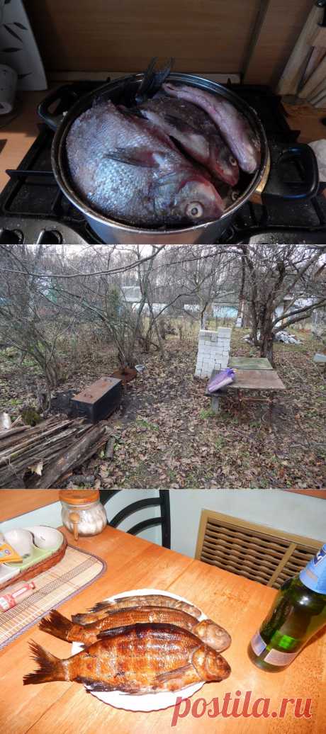 Мой рецепт копченой рыбы (19 фото) | Страна Полезных Советов