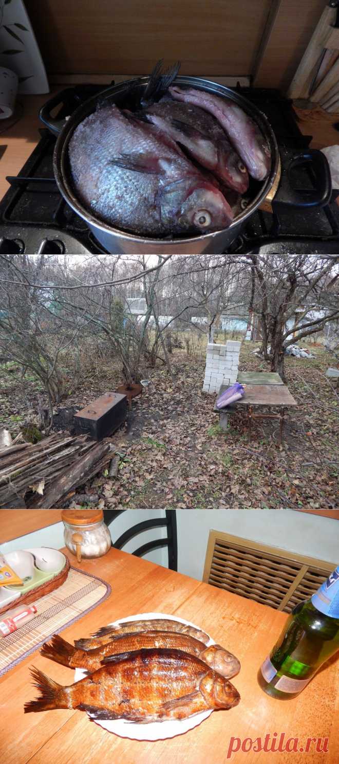 Мой рецепт копченой рыбы (19 фото) | Страна Полезных Советов