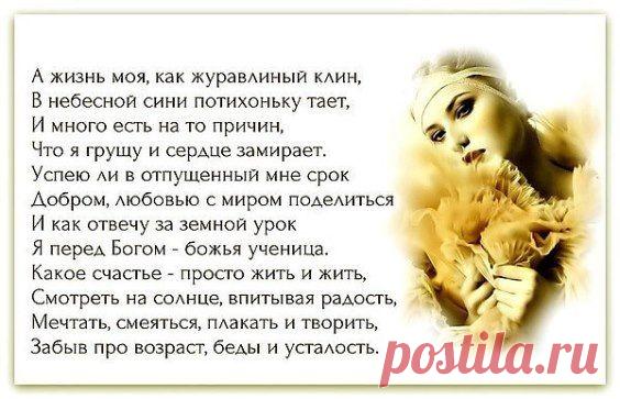 (6) Одноклассники