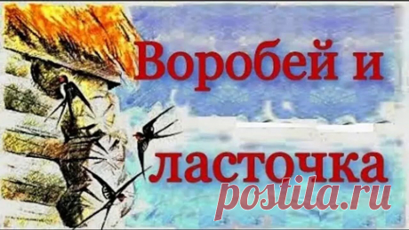 Воробей и ласточка - небольшой рассказ Льва Толстого, который познакомит ребят с миром животных в непривычном ракурсе.