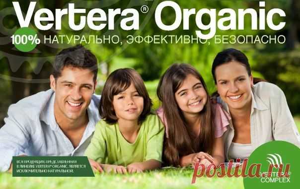 Елена Хрячкова