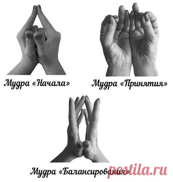 МУДРЫ БОГАТСТВА - Привлечение денег за 5 минут в день.Давным-давно перед человеком открылись древние знания в области мудры-йоги, предоставляющие уникальные возможности приобретения денег и богатства. Существуют несколько способов привлечения денег с помощью мудры.
Сегодня мы рассмотрим три основных мудры по привлечению денежного благосостояния: 1. Мудра «Начала» - для выхода из финансового кризиса. 2. Балансирования» - для привлечения удачи в финансовых делах. 3. Мудра «Мудра «Принятия» ...