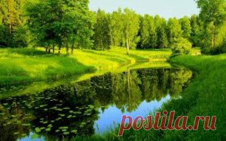 фото природы красивые  - 268 тыс. картинок. Поиск Mail.Ru