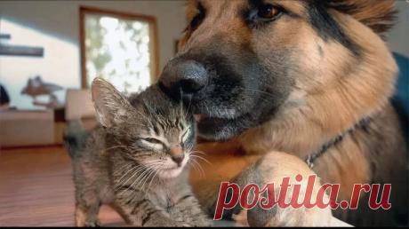 Гаражные посиделки - OGADANIE.RU