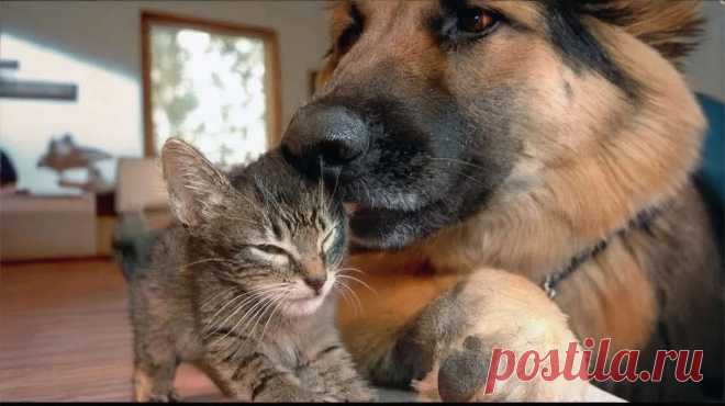 Гаражные посиделки - OGADANIE.RU