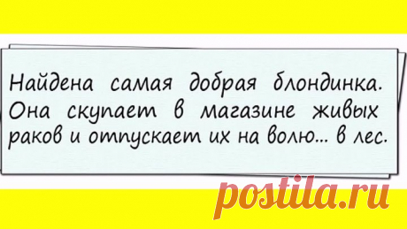 ТЕМ,КТО ЛЮБИТ АНЕКДОТЫ!