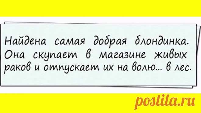 ТЕМ,КТО ЛЮБИТ АНЕКДОТЫ!