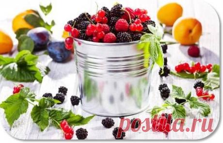 ТОНКОЕ ВОЗДЕЙСТВИЕ ФРУКТОВ И ЯГОД НА ЧЕЛОВЕКА — Сияние Жизни