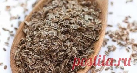 Чтобы забыть о давлении нужно взять горсть семян укропа. Через неделю будете здоровы!
Здравствуйте, уважаемые читатели! Высокое давление придет в норму, исчезнут запоры, боли в желудке и мочевом пузыре, пройдет недержание мочи и кала, если в заварочный чайник насыпать столовую ложку с горкой семян укропа и залить их пол-литрами кипятка. Накрыть чайничек салфеткой или укутать полотенцем на 40 минут, чтобы семена хорошо запарились и отдали все ценные вещества в воду. 
Полученное лекарство нужно п