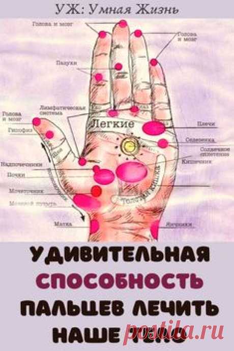 (48) Pinterest