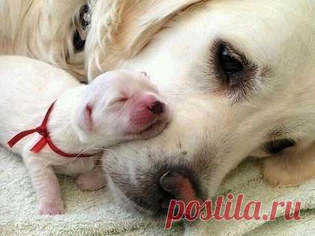 &quot;О чём молчит Душа&quot;... ♥