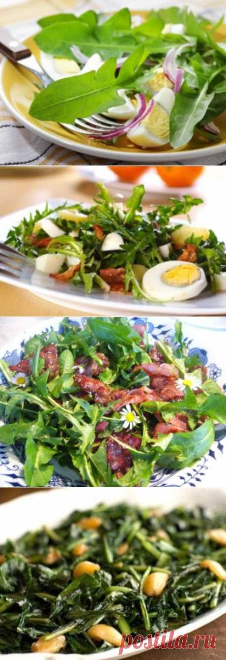 Салаты из одуванчика / Простые рецепты