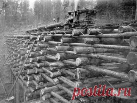 7 способов развить упорство | Human psychology