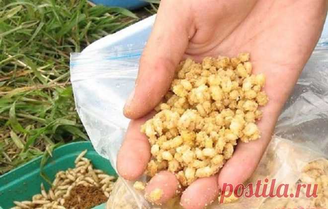 Перловые вкусняшки Собственный рецепт приготовления уловистого прикорма имеется у каждого рыболова, за плечами которого некоторый рыбацкий опыт. Только кто-то держит рецепт в секрете, а другие, напротив, с радостью деля…