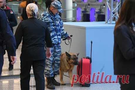 В Пулково задержали прилетевшую из Стамбула россиянку с кокаиновыми конфетами. В петербургском аэропорту Пулково задержали прилетевшую из Стамбула 25-летнюю россиянку с кокаиновыми конфетами. Ее остановили в зеленой зоне, заметив в чемодане подозрительные предметы. Таможенники открыли чемодан путешественницы и увидели там три пакета в зеленой обертке.