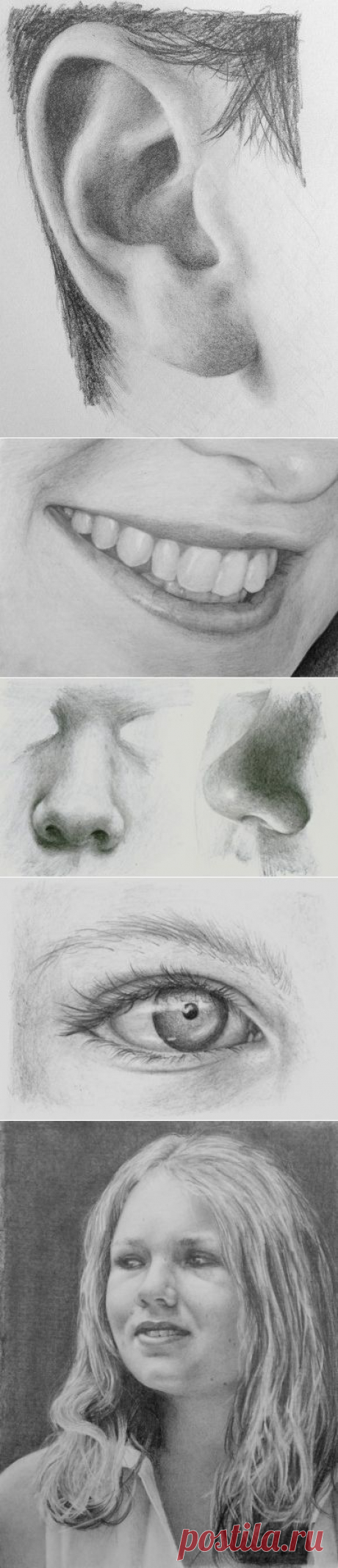 Art by Nolan  &amp;raquo; Blog Archive  How to draw realistic ears - Art by Nolan