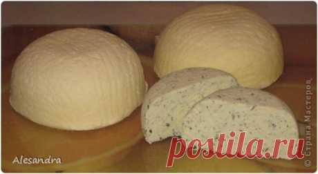 Очень вкусный сыр - сулугуни, приготовить самим совсем не сложно