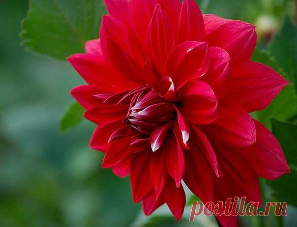 КАКОЙ СЕГОДНЯ ПРАЗДНИК? 17 Августа 2017 г. – Четверг • День лысых ежиков • День проснувшихся улиток • Национальный день ванильного заварного крема - США • День независимости - Габон57 лет • День независимости - Индонезия72 года • День работников службы чрезвычайных ситуаций и гражданской обороны - Таджикистан • Именины у Дмитрия, Ивана, Андрея, Антонина, Евдокии, Кузьмы, Алексея, Дарьи, Михаила, Дениса, Константина, Максимилиана, Ирины, Семена • Авдотья Малиновка