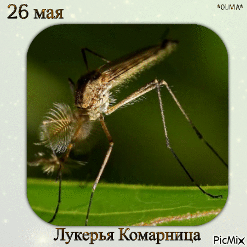 С народным праздником Лукерьи Комарницы! Богатого урожая и хорошей погоды! Открытки на Лукерья Комарница!