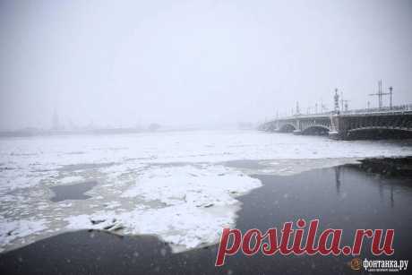 Фото и видео метели в Петербурге - 16 декабря 2024 - ФОНТАНКА.ру