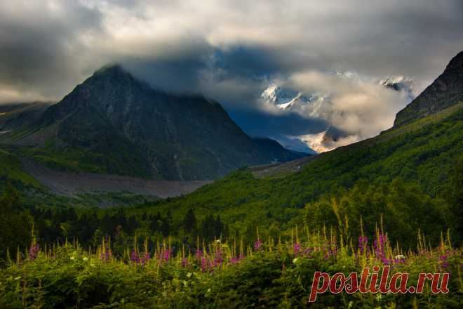Кавказ