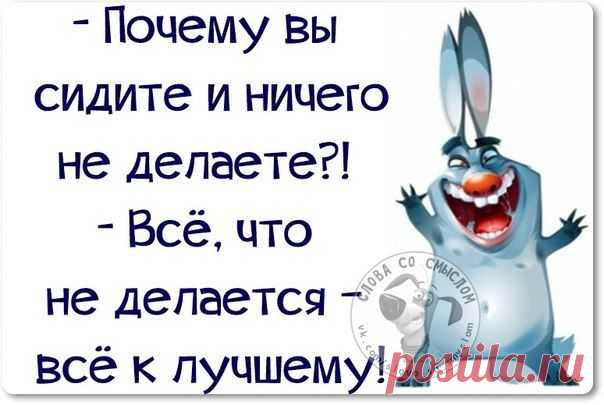 мудрявости