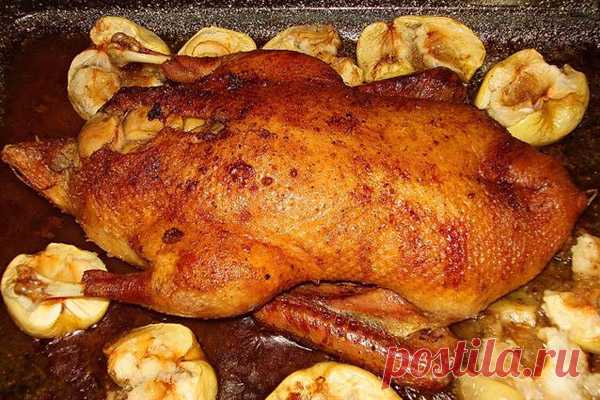 Утка с яблоками и апельсинами