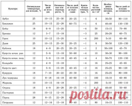 Сколько дней прорастают семена