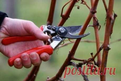 (48) Одноклассники