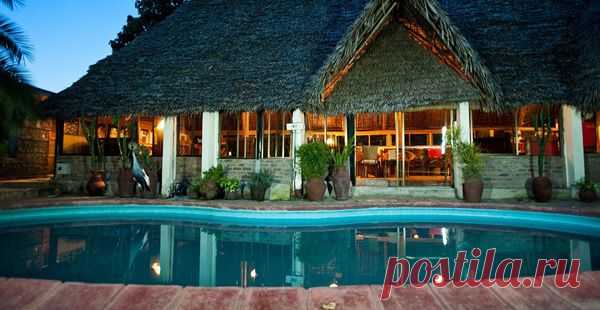 Остров Занзибар - Поиск в Google