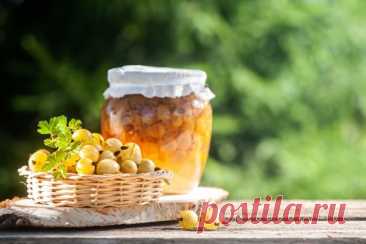Варенье из крыжовника с абрикосом — Journal women