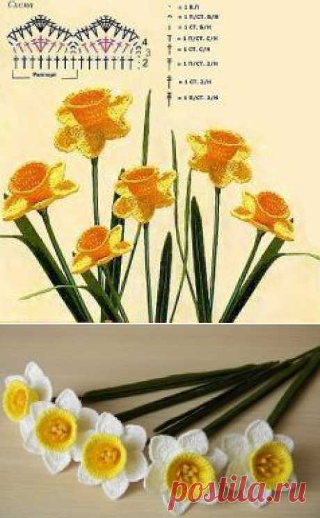 (12) Одноклассники