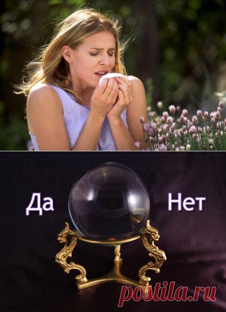 Гадание чихалка - используем чихание для предсказаний