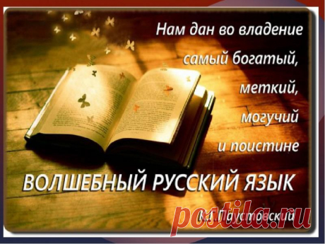Удивительные интересные факты о русском языке