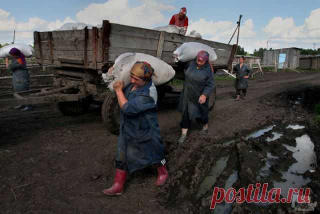 Лучшие фотографии России. Победители (84 фото) | смешные приколы, статусы, фото, юмор, шутки, киноляпы !