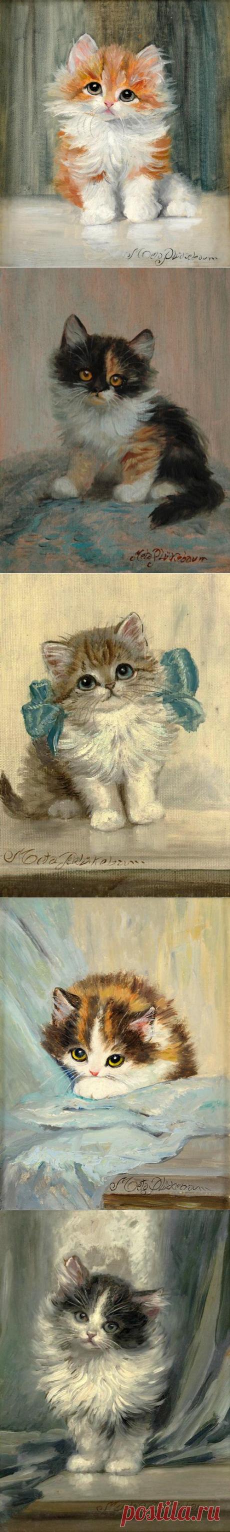 Meta Pluckebaum » Картины, художники, фотографы на Nevsepic