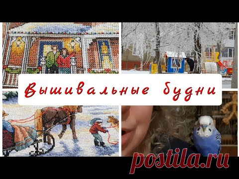 293 #Вышивальные будни/Дименшенс/Домой на праздники/Гаврик, история его появления у нас дома/Влог