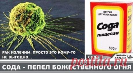 * * * * * * * * * * * *