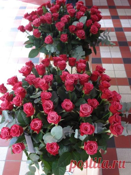 (6) Pinterest