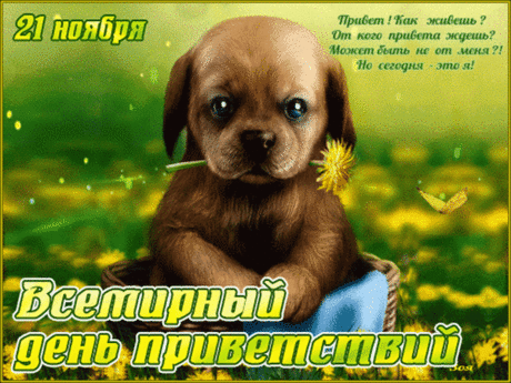 Поздравляю с Всемирным днем приветствий! Пусть этот день напомнит о том, как важны простые человеческие жесты, как много значит вовремя сказанное слово и как приятно чувствовать себя желанным гостем. Открытки на День приветствий!