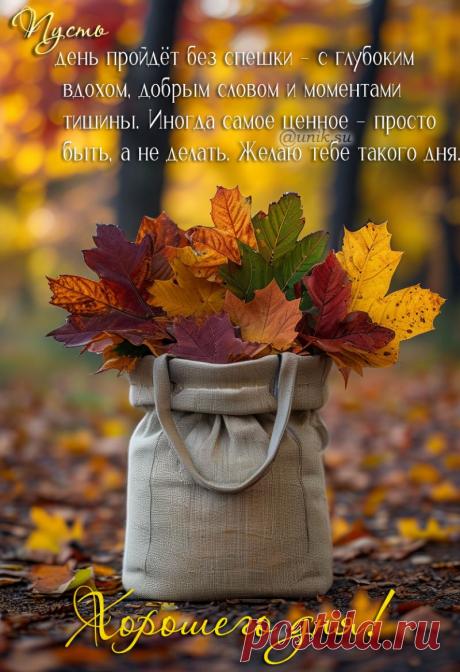 новые красивые картинки с пожеланиями хорошего дня