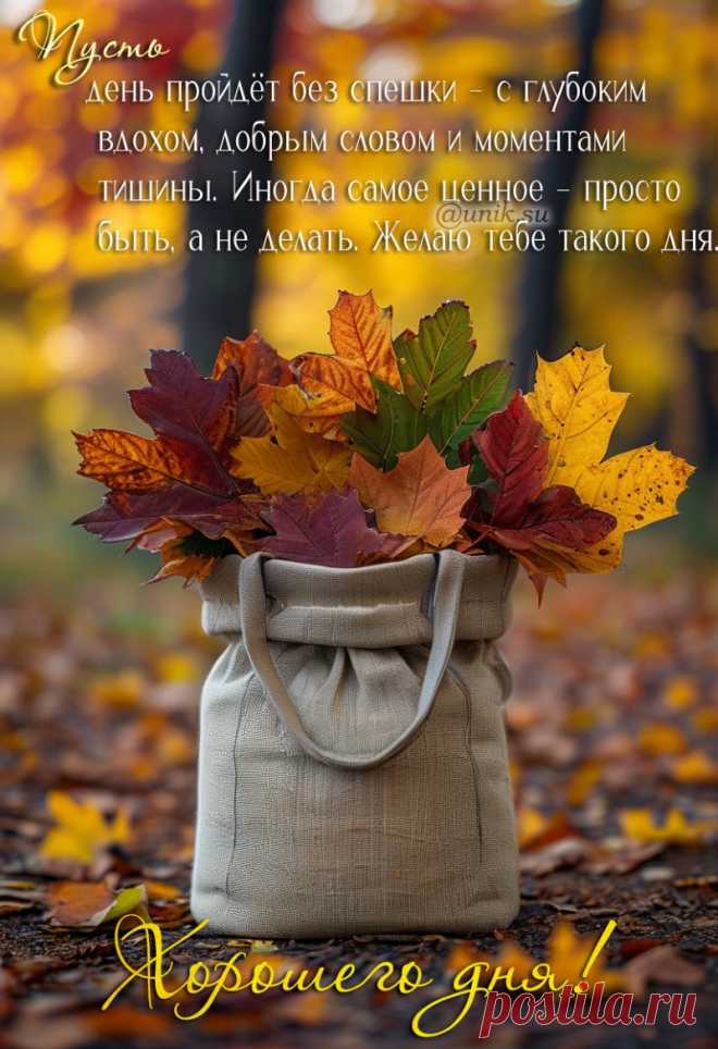новые красивые картинки с пожеланиями хорошего дня