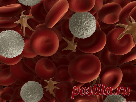 Неинвазивный анализ крови (без укола и забора крови – в течение 10 мин. 136 параметров крови ). Данная диагностика позволяет оценить состояние как отдельных органов и систем так и всего организма в целом за минимальное время. 5 мин.пешком от м.Каховская или м.Нахимовский проспект. +7 9167457400