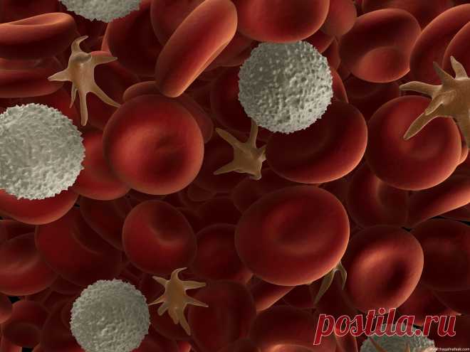 Неинвазивный анализ крови (без укола и забора крови – в течение 10 мин. 136 параметров крови ). Данная диагностика позволяет оценить состояние как отдельных органов и систем так и всего организма в целом за минимальное время. 5 мин.пешком от м.Каховская или м.Нахимовский проспект. +7 9167457400