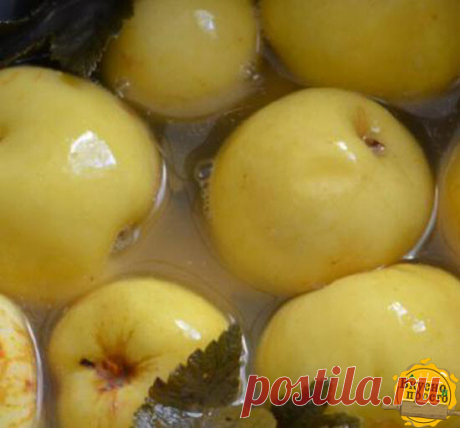 Моченые яблоки по-новому: без бочки и соломы! Секрет вкусных и полезных моченых яблок, груш, слив и вишен