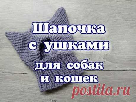 Шапочка с ушками для собак и кошек, DIY Hat for dogs and cats
