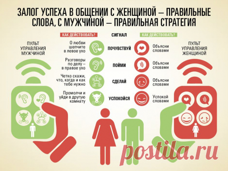 За что &quot;отвечают&quot; левое и правое полушарие нашего мозга.
На удивление крутится в разные стороны в разное время