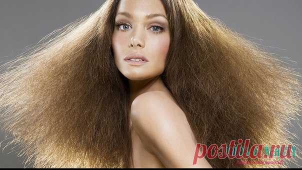 Волосы💁beauty. Стрижки. Окрашивание. Буст Ап. | ВКонтакте