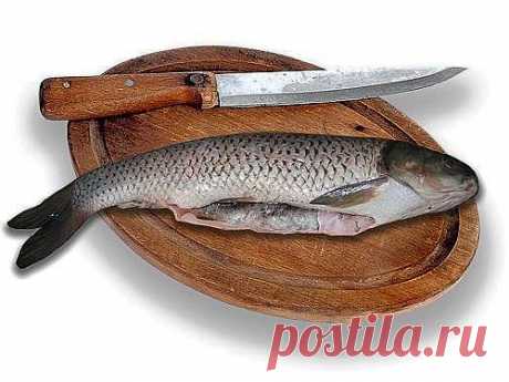 Рыба, несколько советов.